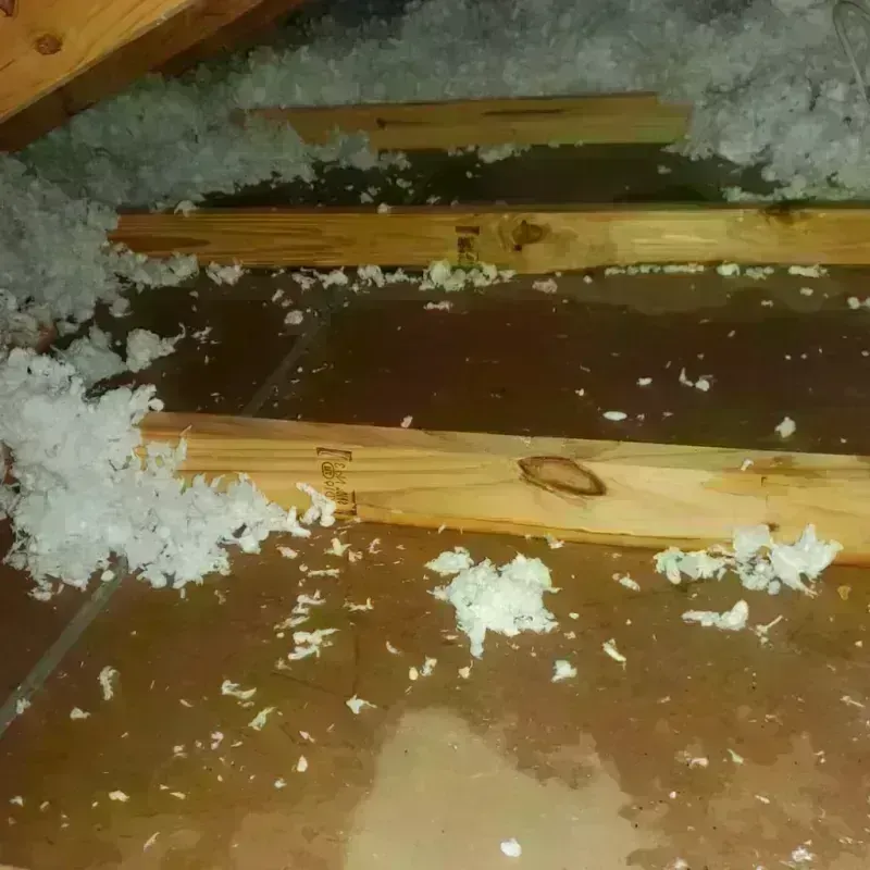 Attic Water Damage in Schofield, WI