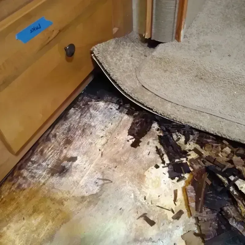 Wood Floor Water Damage in Schofield, WI